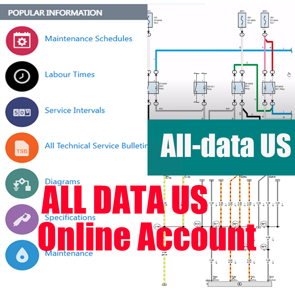 Software de Reparo Automotivo  - Workshop Tools Online avaliação e preço